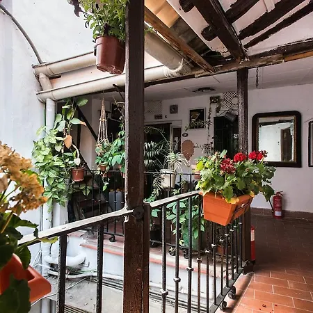 Appartamento Nativo Centro 1